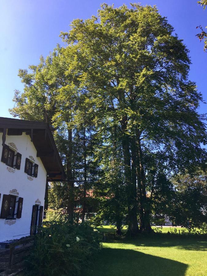 Traumhaftes Ferienhaus direkt am Tegernsee Rotta Exterior foto